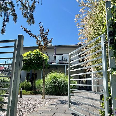 Apartmany Benesov Benesov nad Ploucnici Exterior foto