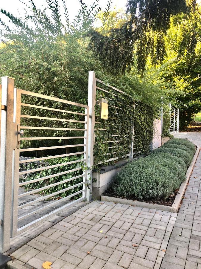 Apartmany Benesov Benesov nad Ploucnici Exterior foto