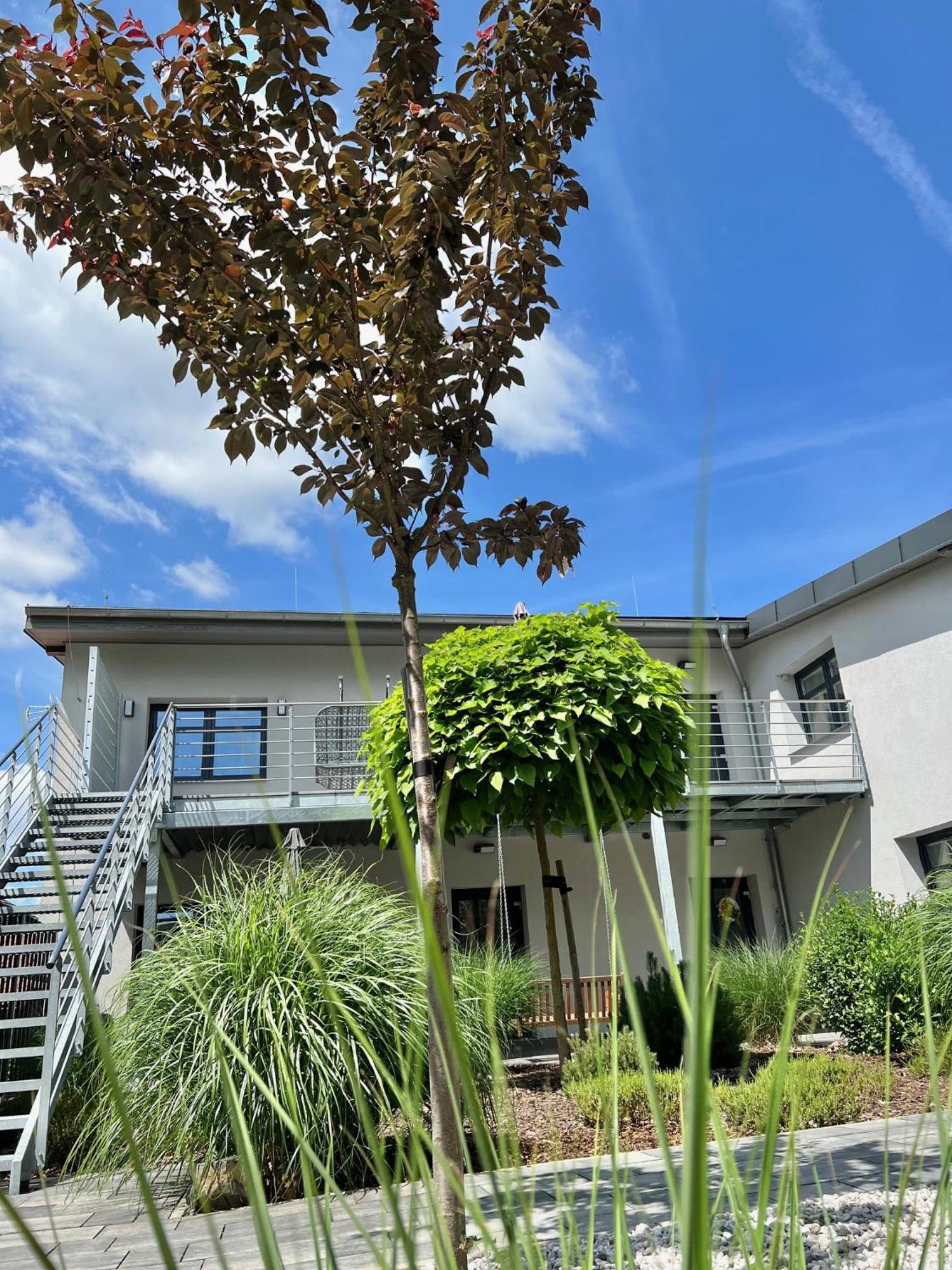 Apartmany Benesov Benesov nad Ploucnici Exterior foto