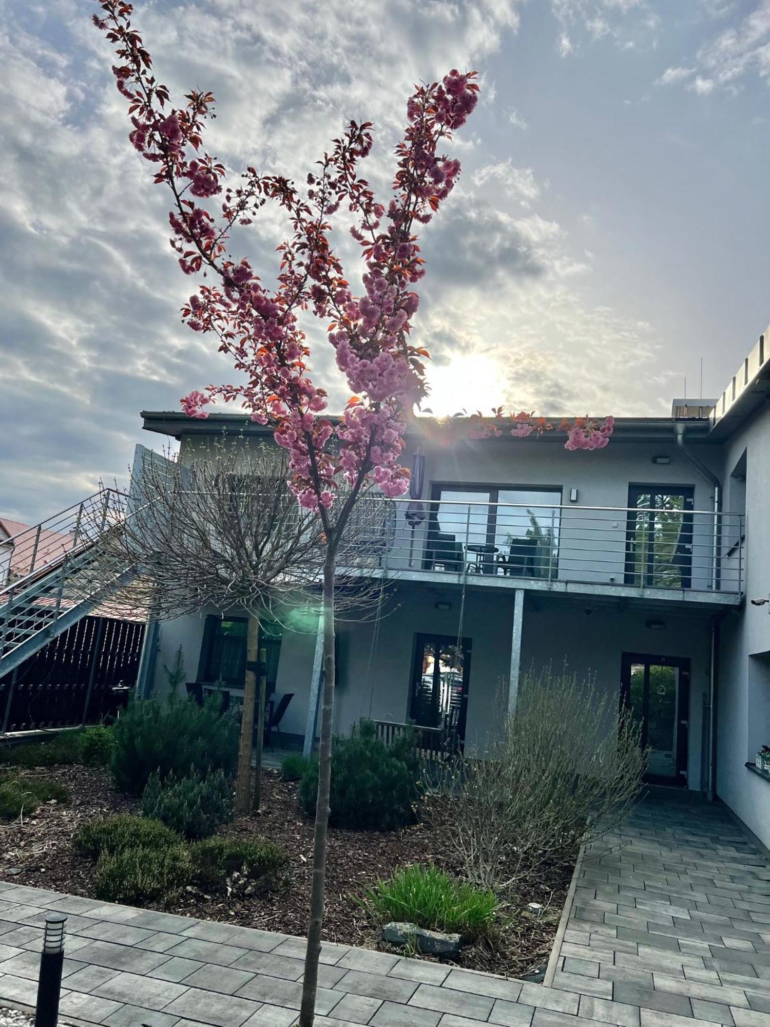 Apartmany Benesov Benesov nad Ploucnici Exterior foto